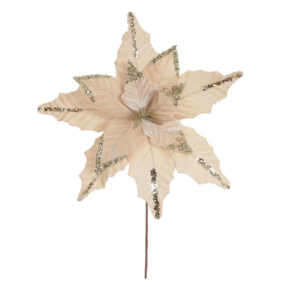 H.BICO DE PAPAGAIO NATAL AVELUDADO (CHAMPANHE) 52cm 40d