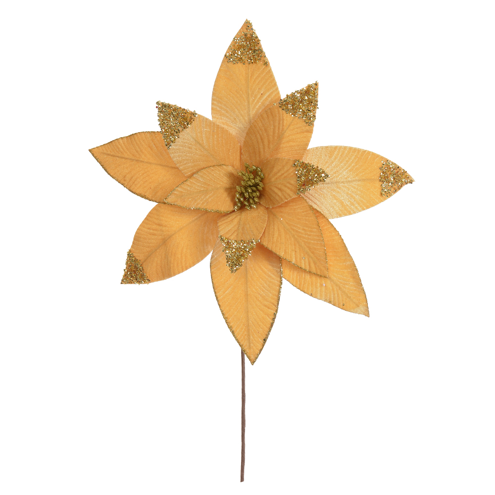 H.BICO DE PAPAGAIO NATAL AVELUDADO (DOURADO) 45cm 40d