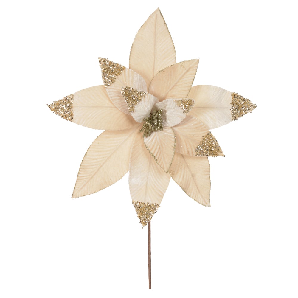 H.BICO DE PAPAGAIO NATAL AVELUDADO (CHAMPANHE) 45cm 40d