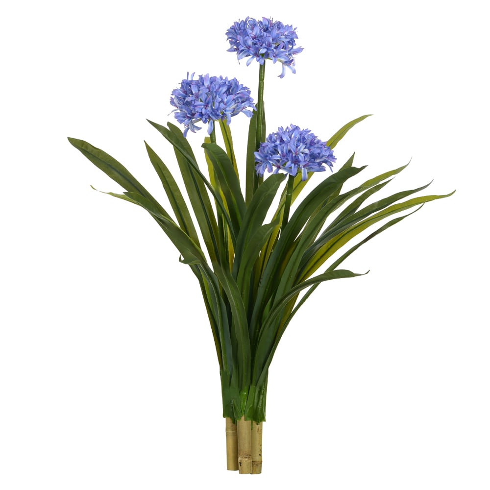 A.NARCISO X3 (LAVANDA) 92cm