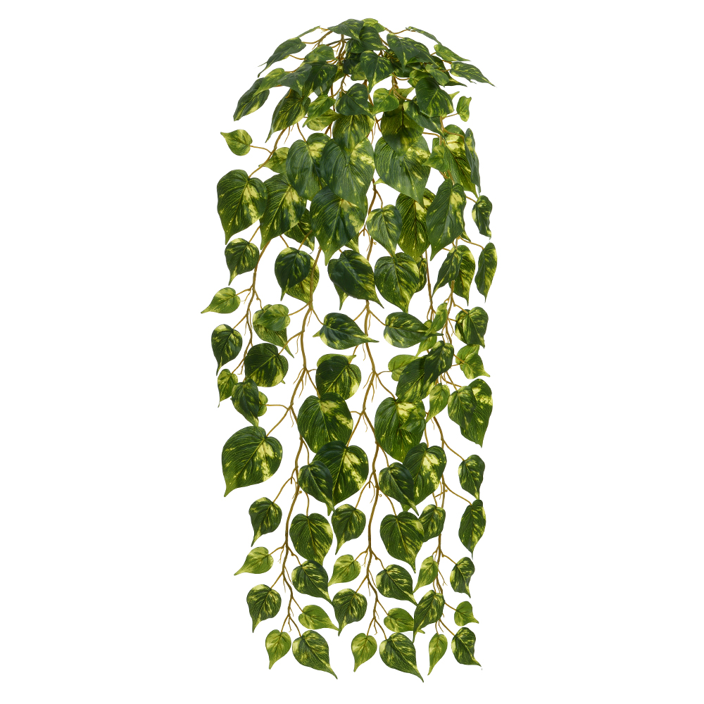 F.JIBOIA PENDURAR X134 (VERDE CREME) 1,14m