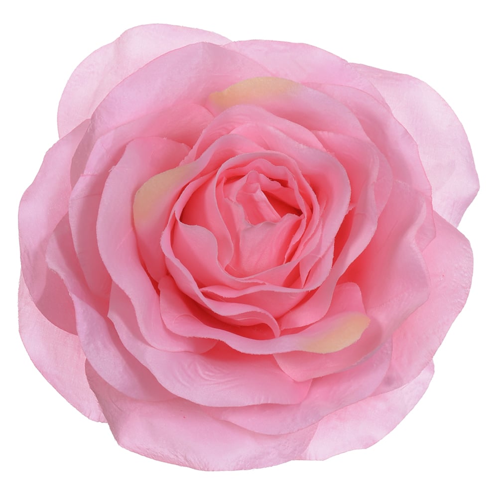 B.ROSA CABECA (ROSA CLARO) 20cm
