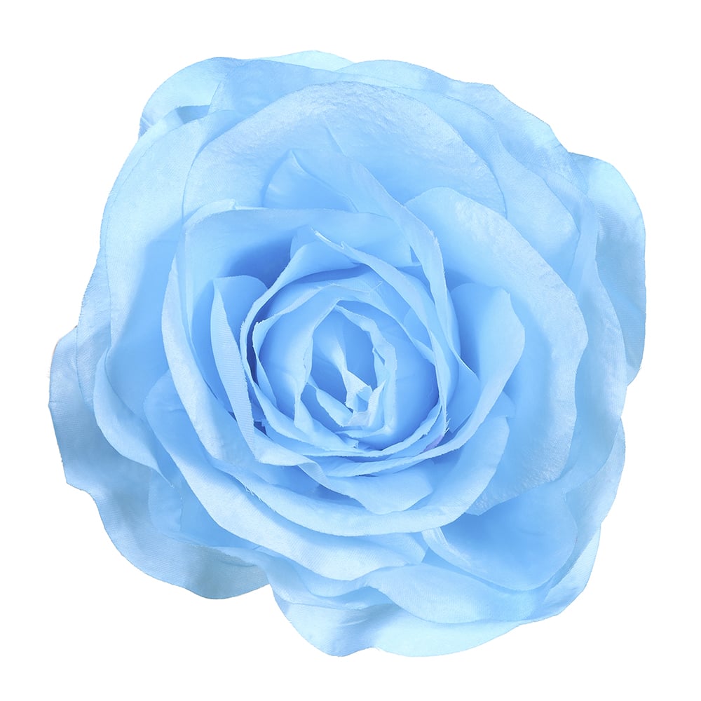 B.ROSA CABECA (AZUL) 20cm