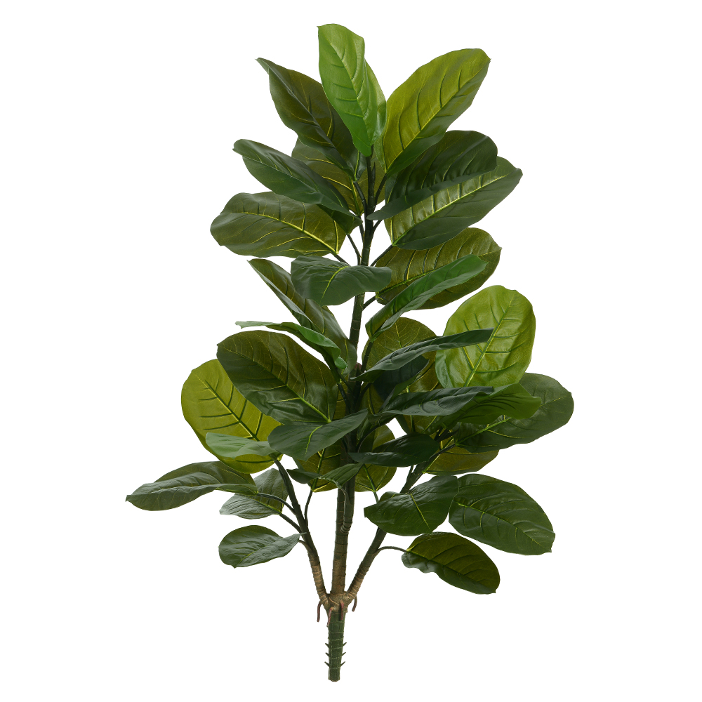 A.FICUS AUDREY X36 (VERDE) 1,3m