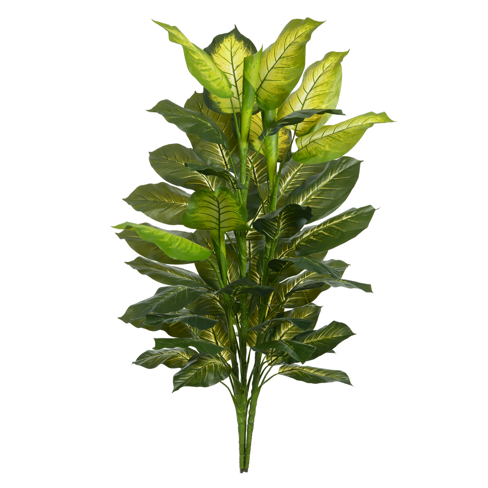 A.C.N.P GOLDEN X51 (VERDE) 1,38m