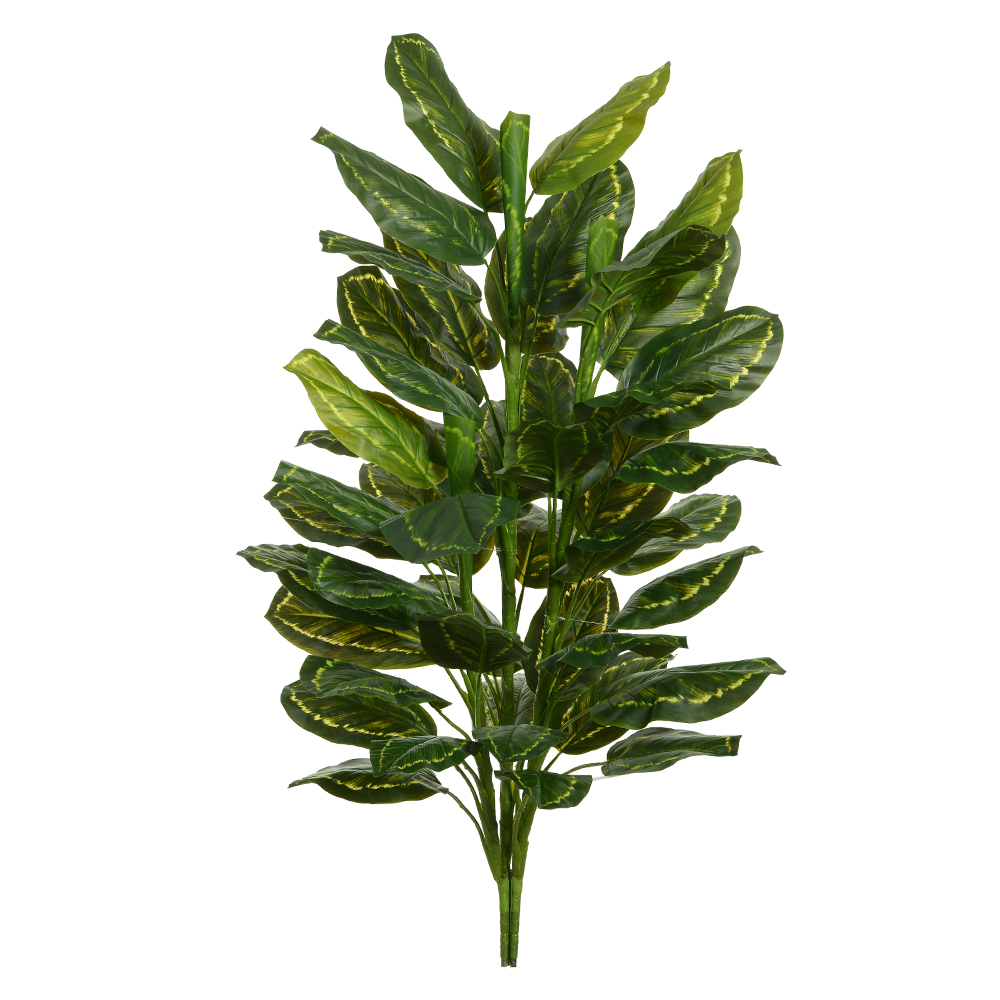 A.CALATHEA X51 (VERDE) 1,38m