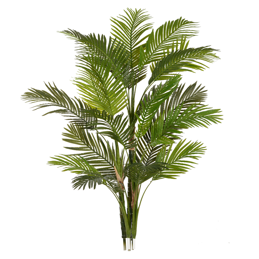 A.PALMEIRA ARECA X21 (VERDE) 1,65m