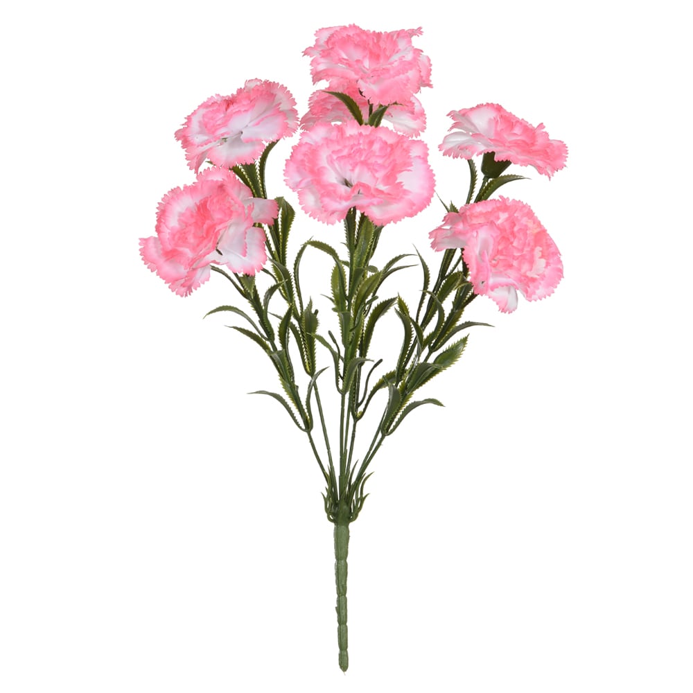 B.CRAVO X7 (ROSA) 40cm