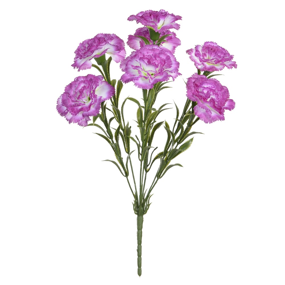B.CRAVO X7 (LAVANDA) 40cm
