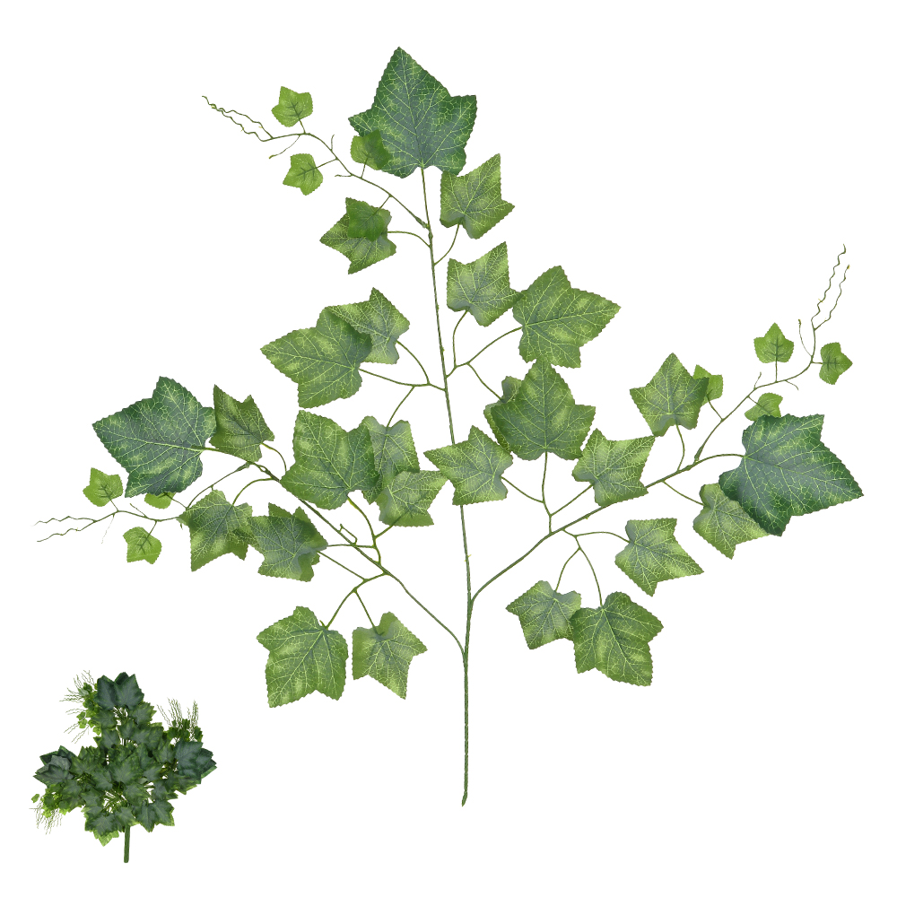 C.HERA X39 (VERDE) 65cm