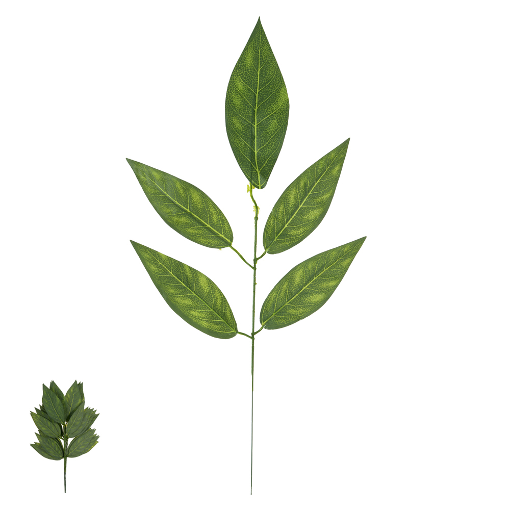 C.FOLHA X5 (VERDE 2T) 53cm