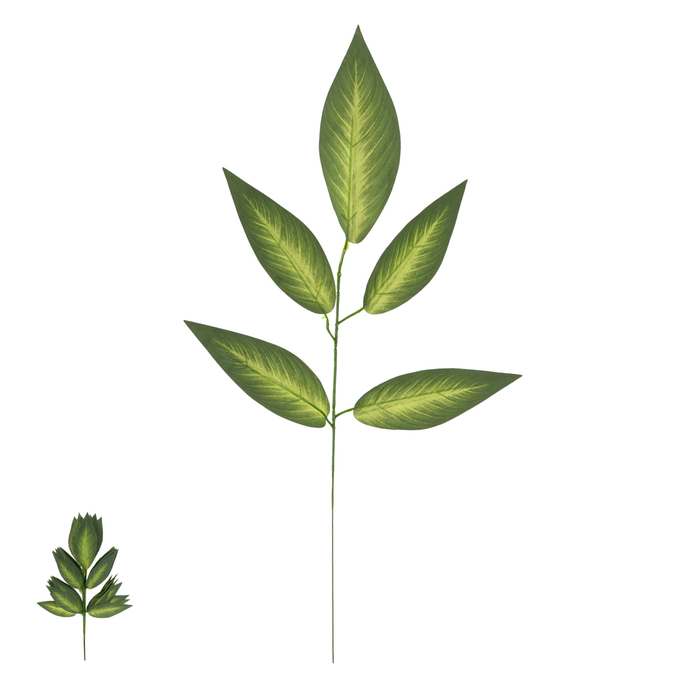 C.FOLHA X5 (VERDE CREME) 53cm