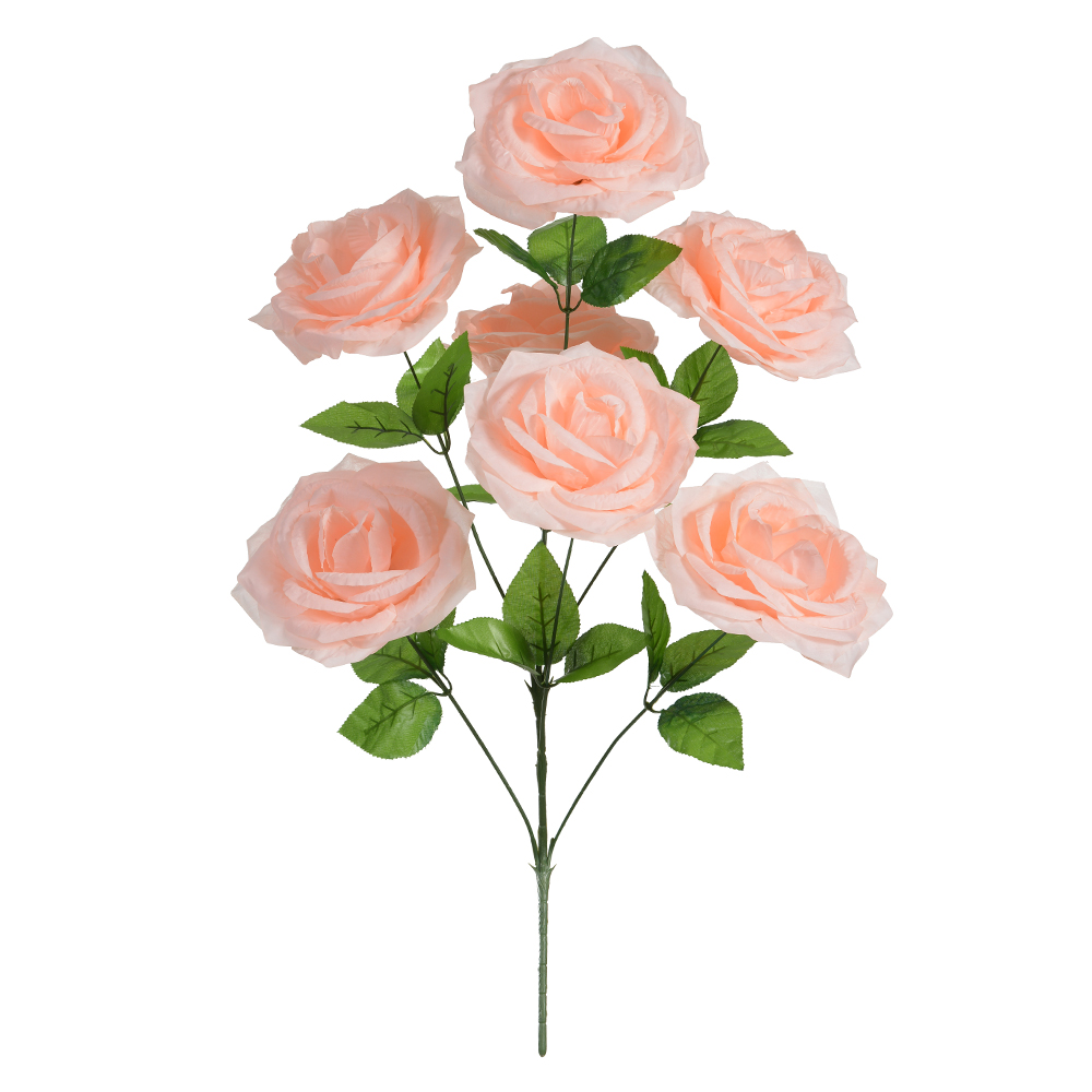 B.ROSA X7 (PESSEGO) 80cm