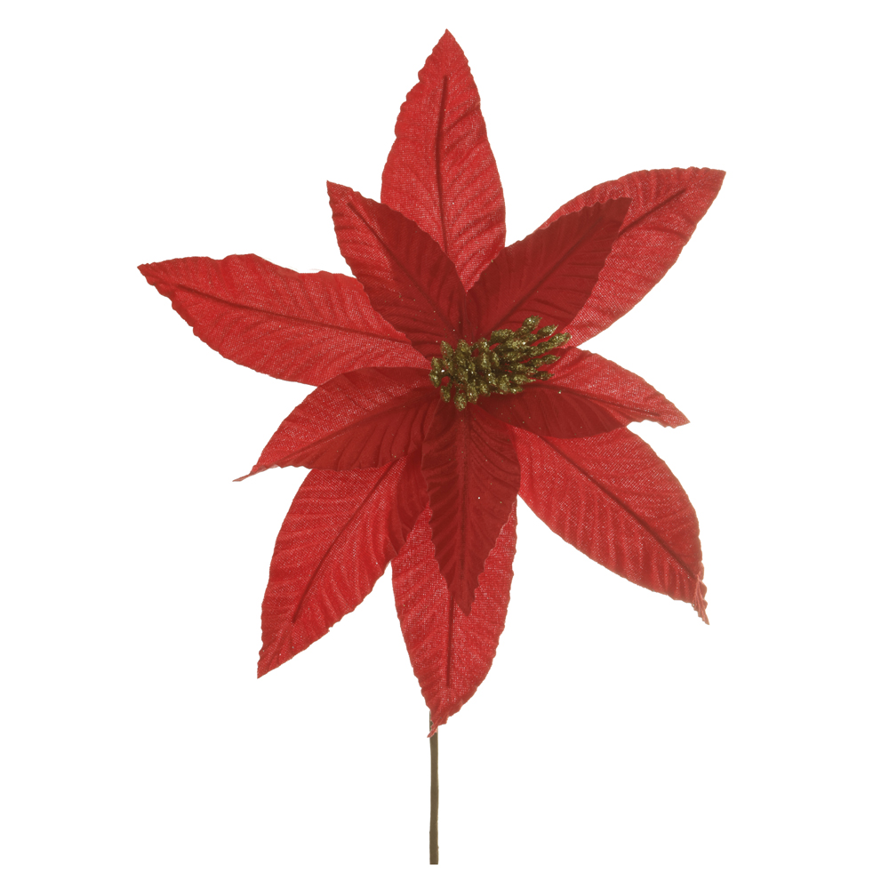 H.BICO DE PAPAGAIO NATAL AVELUDADO (VERMELHO DOURADO) 34cm 30d