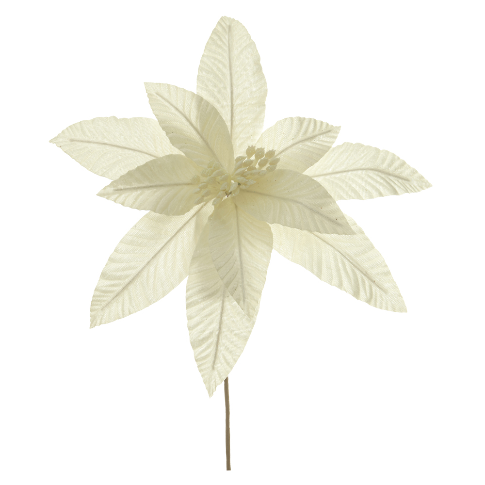 H.BICO DE PAPAGAIO NATAL AVELUDADO (OFF WHITE) 34cm 30d