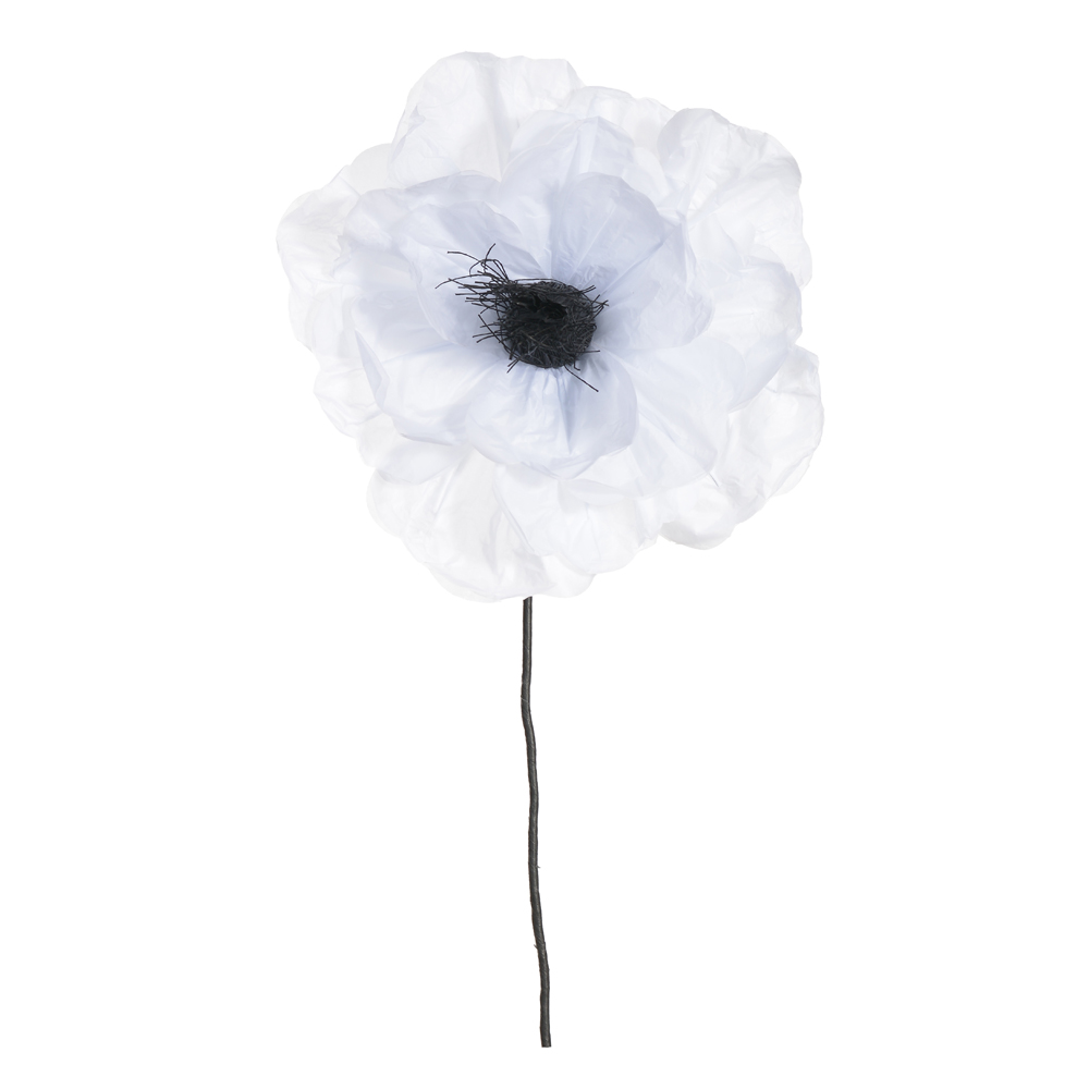 FLOR PEONIA C/PAPEL SUPORTE (BRANCO PRETO) 1mX37cm