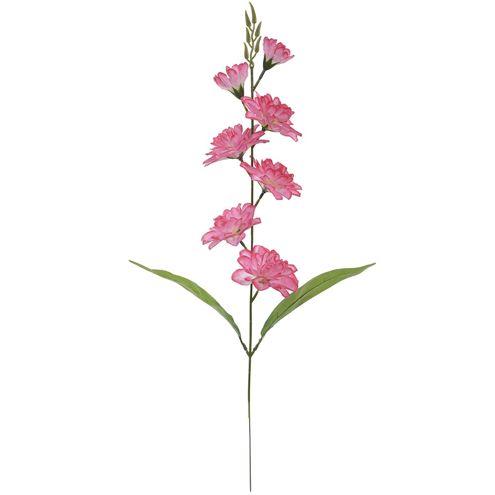 H.DALIA X7 (ROSA) 63cm
