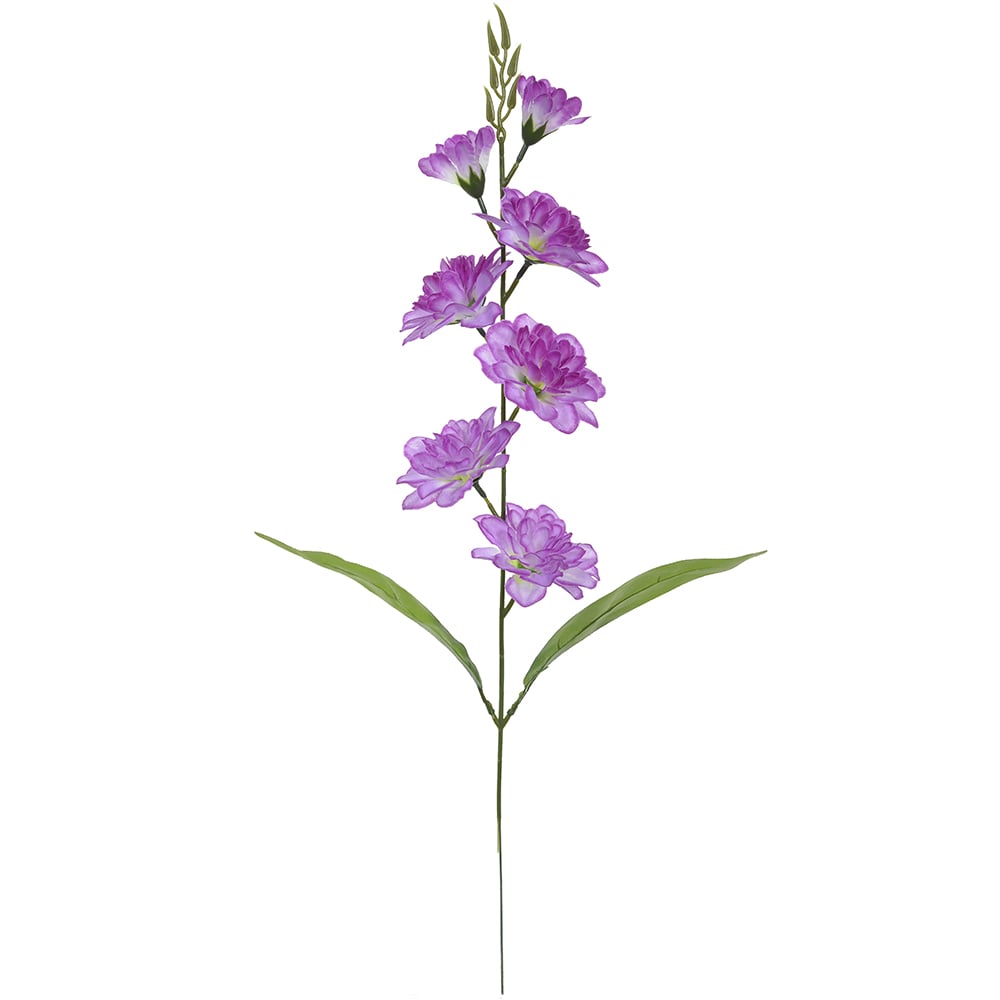 H.DALIA X7 (LAVANDA) 63cm