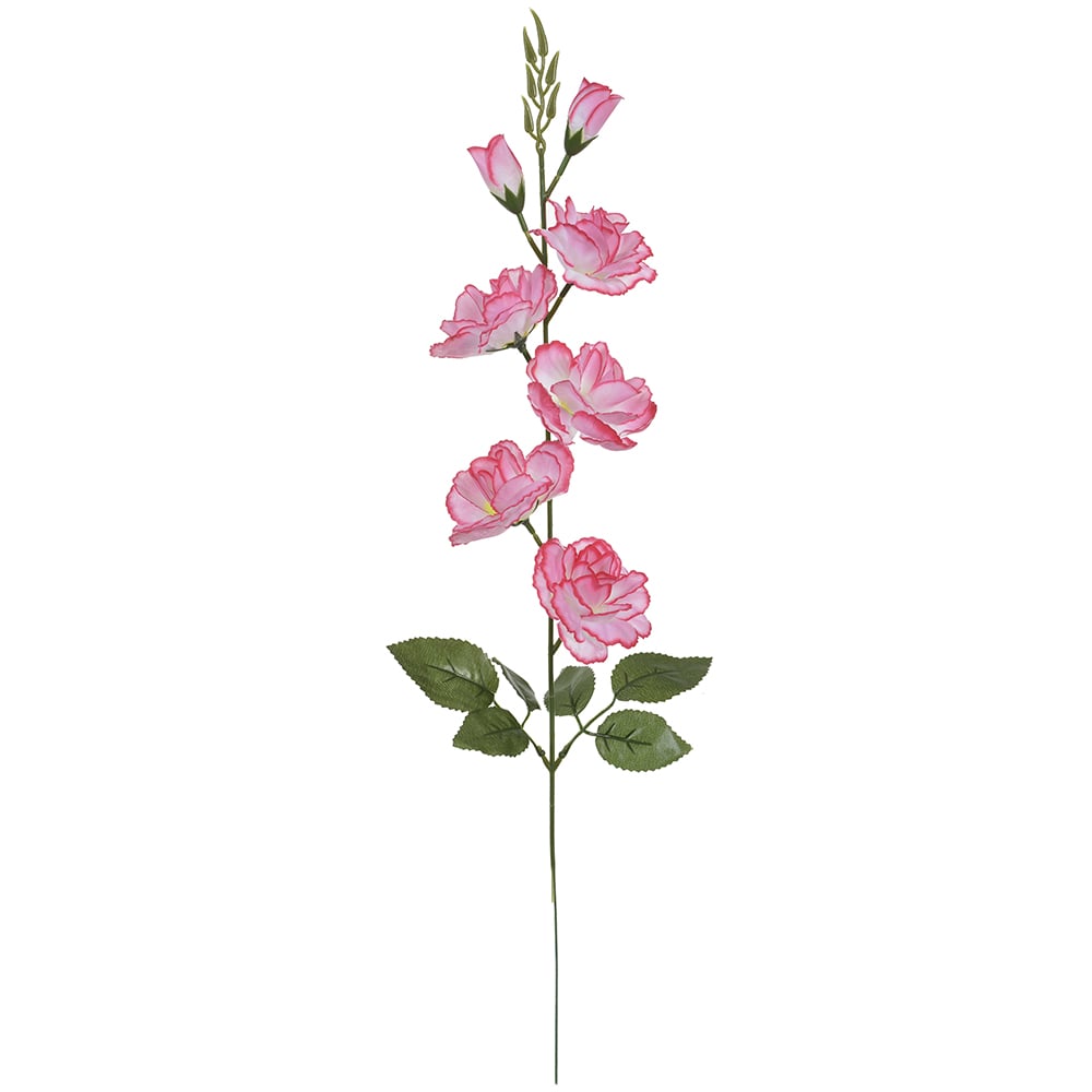 H.ROSA X7 (ROSA) 63cm
