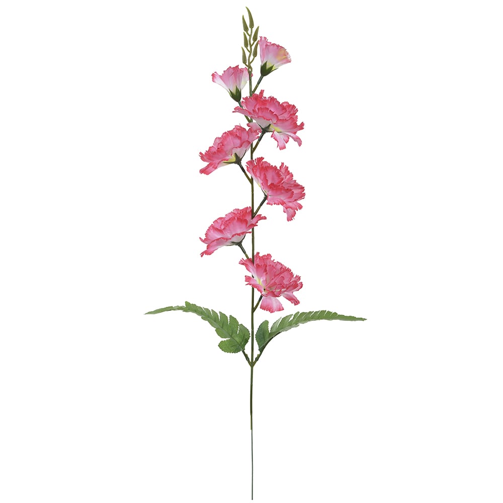 H.CRAVO X7 (ROSA) 63cm