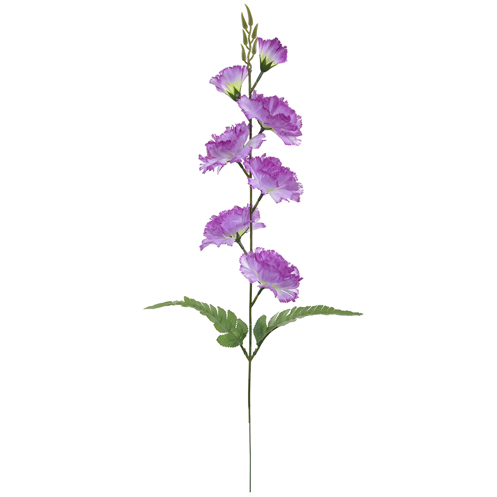 H.CRAVO X7 (LAVANDA) 63cm