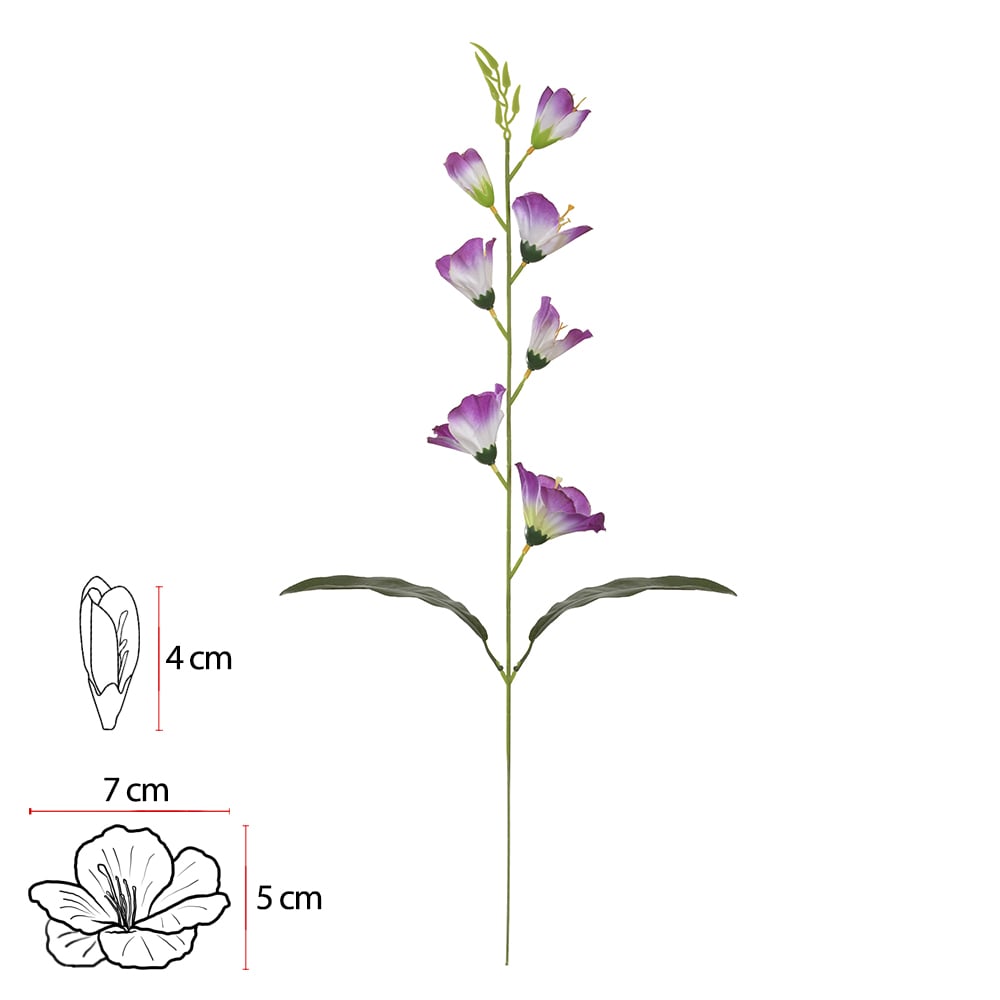 H.PALMA X7 (LAVANDA) 55cm