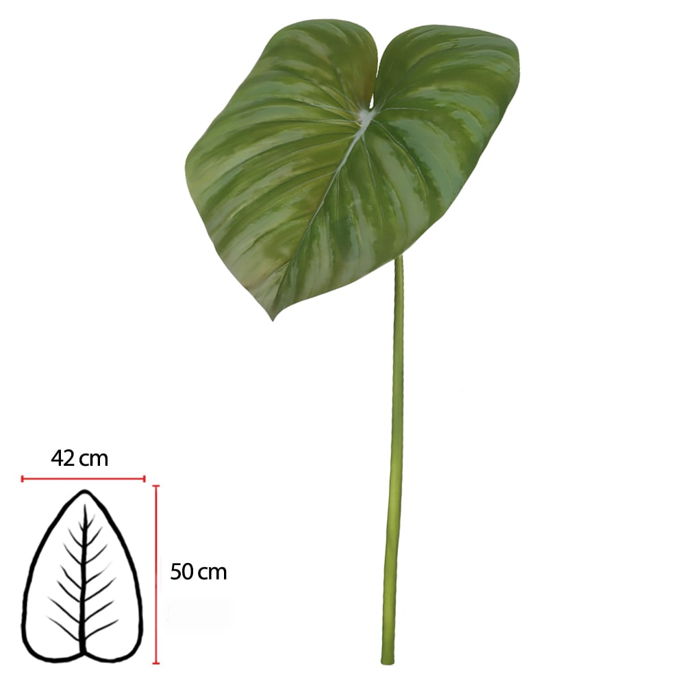C.FOLHA HOMALOMENA REAL TOQUE (VERDE 2T) 80cm