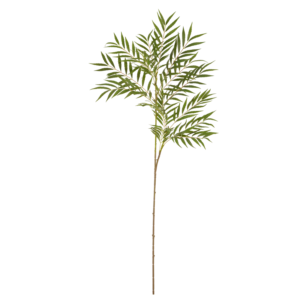 C.GALHO AROEIRA SALSA REAL TOQUE X204 (VERDE) 1,4m