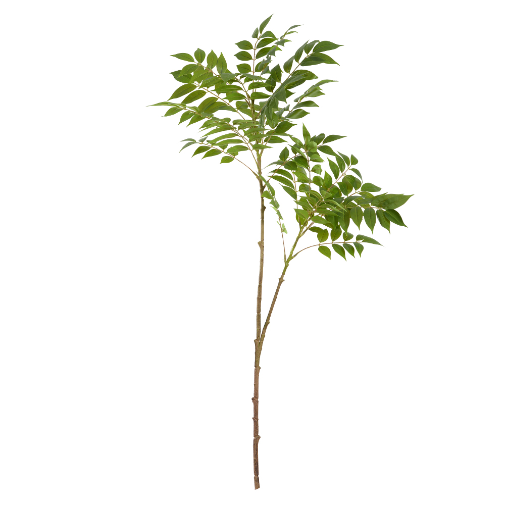 C.GALHO CAJAZEIRA REAL TOQUE (VERDE) 1,07m