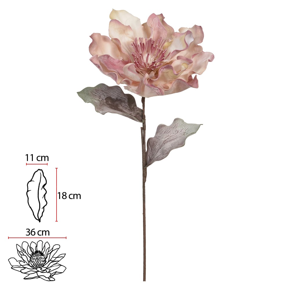 H.MAGNOLIA EVA (ROSA BEGE) 1m