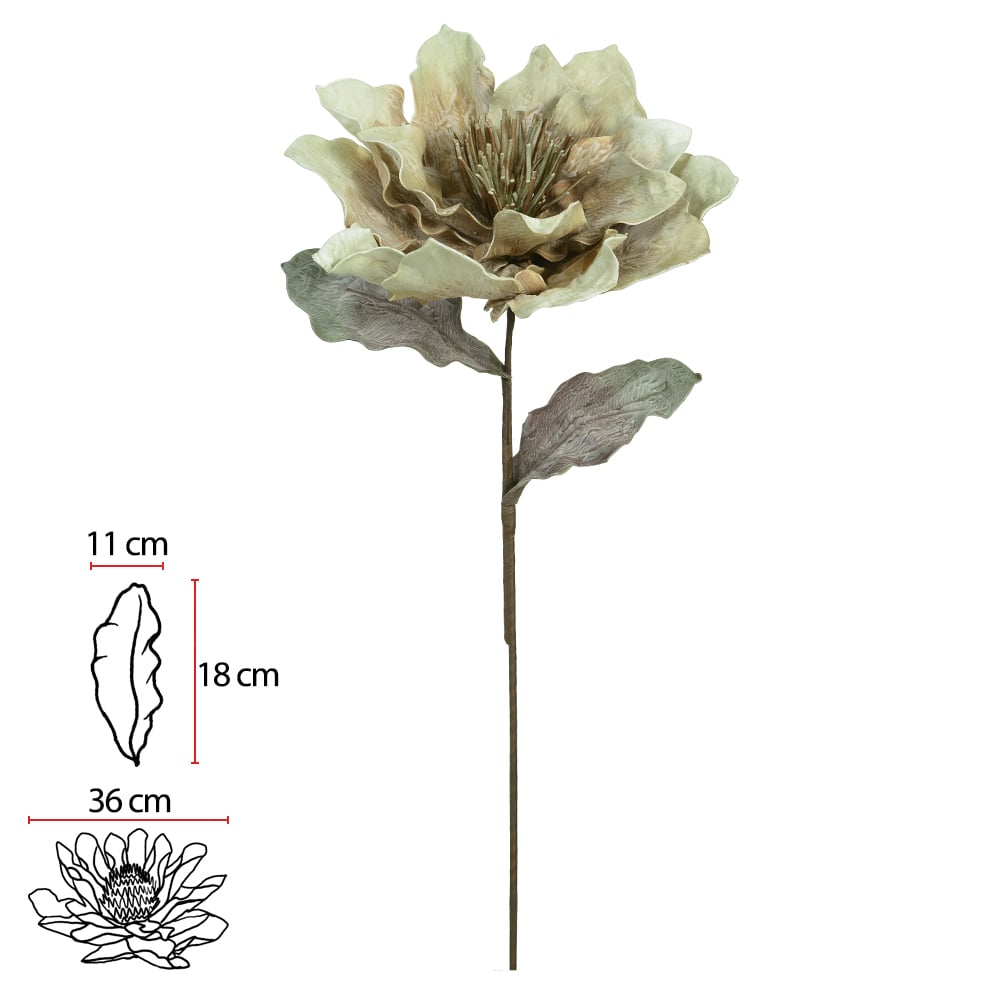 H.MAGNOLIA EVA (VERDE MENTA) 1m