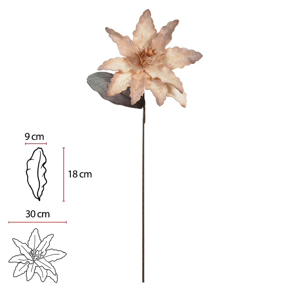 H.MAGNOLIA EVA (OCRE) 85cm