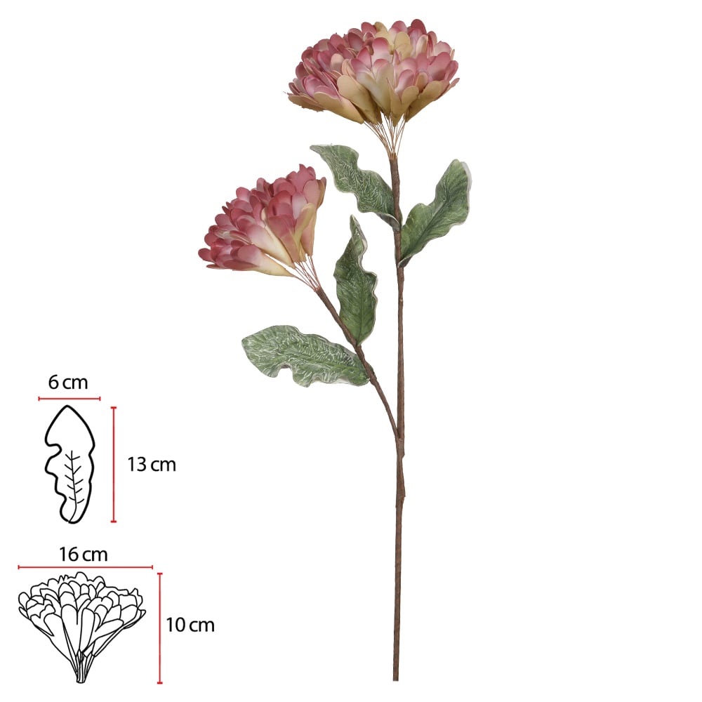 H.HORTENSIA EVA X2 (ROSA BEGE) 98cm