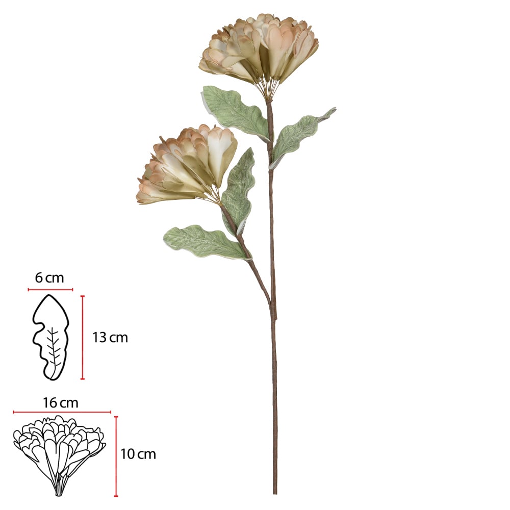 H.HORTENSIA EVA X2 (VERDE OUTONO) 98cm