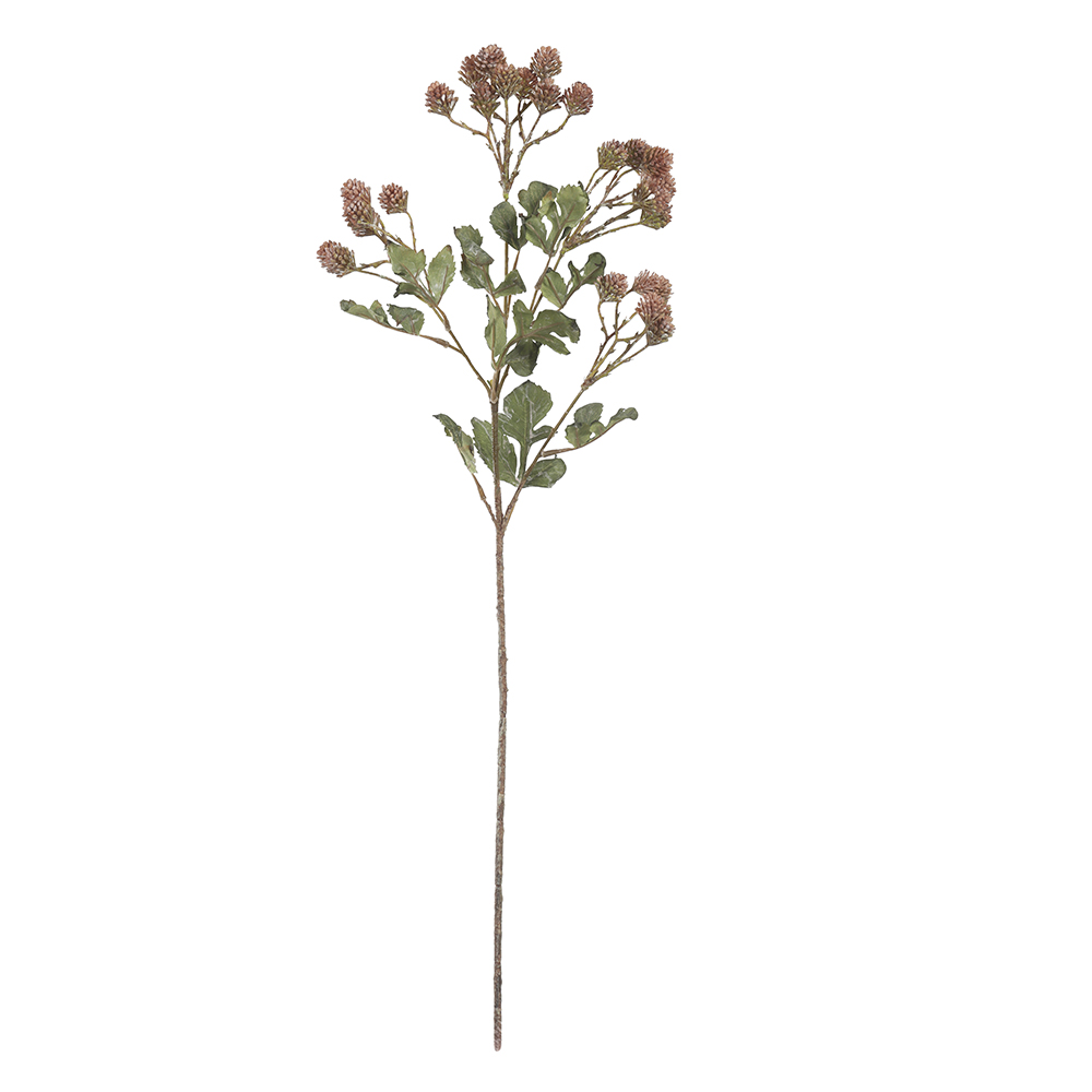 C.GALHO FRUTINHA X29 (MARROM OUTONO) 87cm