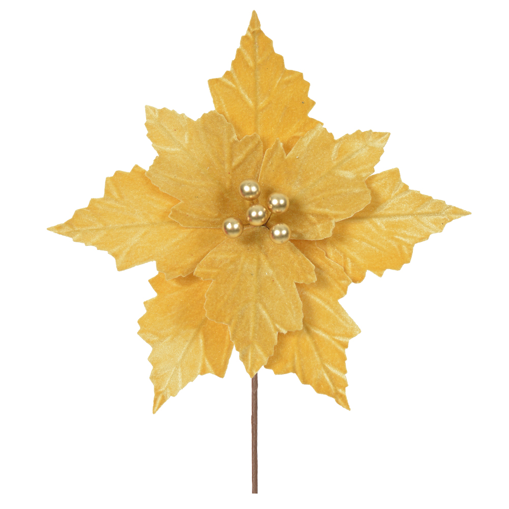 H.BICO DE PAPAGAIO NATAL AVELUDADO (DOURADO) 20cm 26d