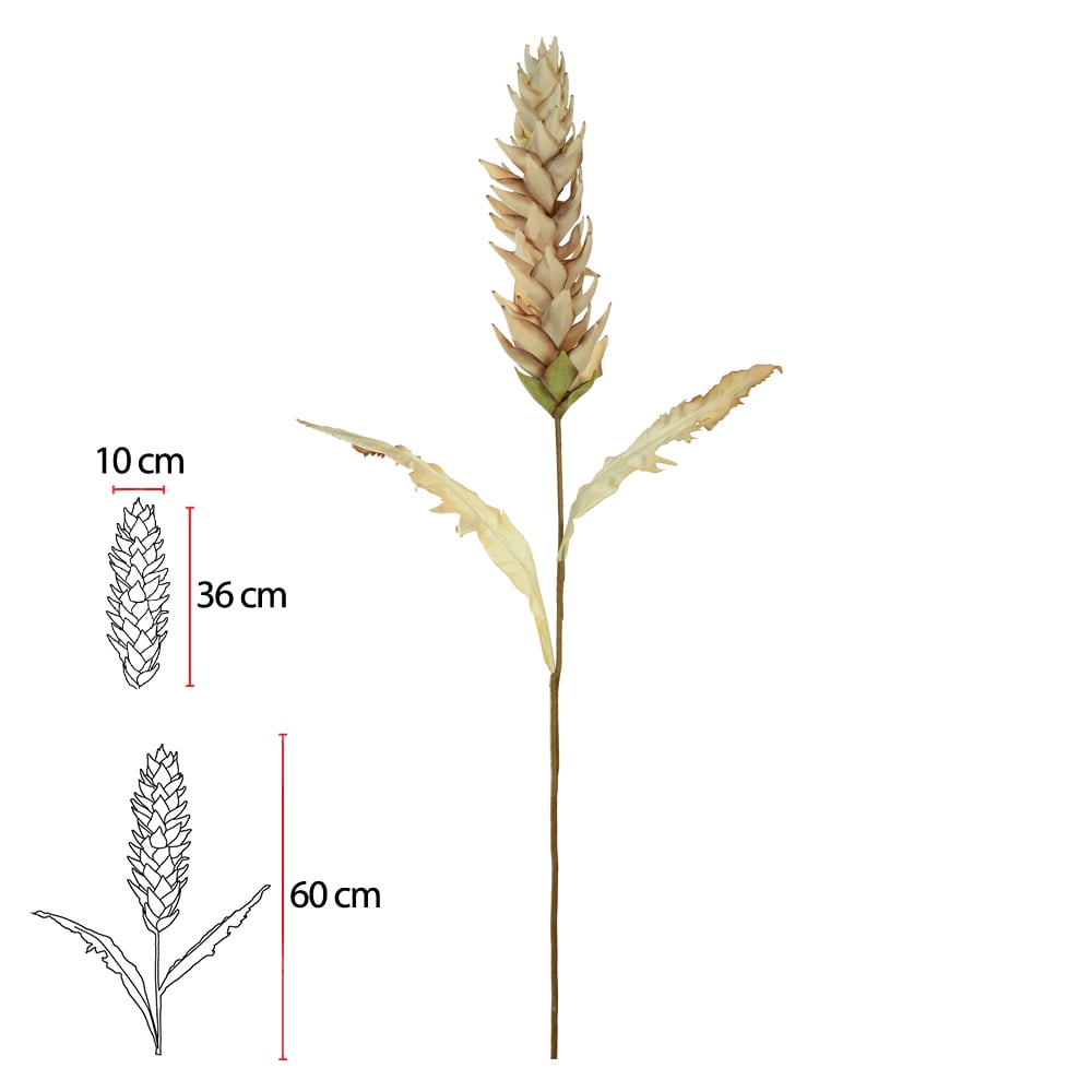H.PROTEA (CREME) 1,01m
