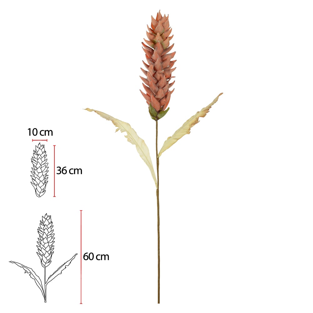H.PROTEA (OCRE) 1,01m