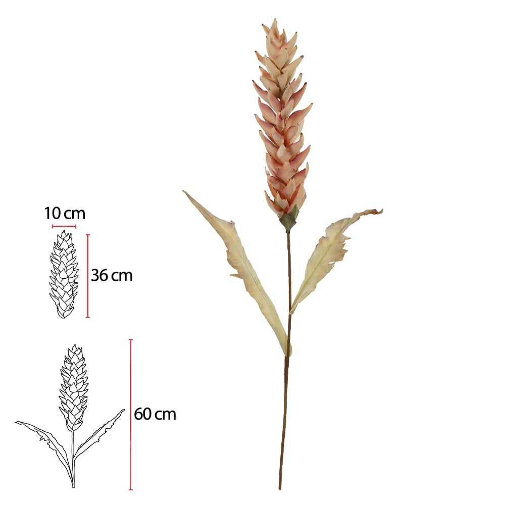 H.PROTEA (PESSEGO) 1,01m