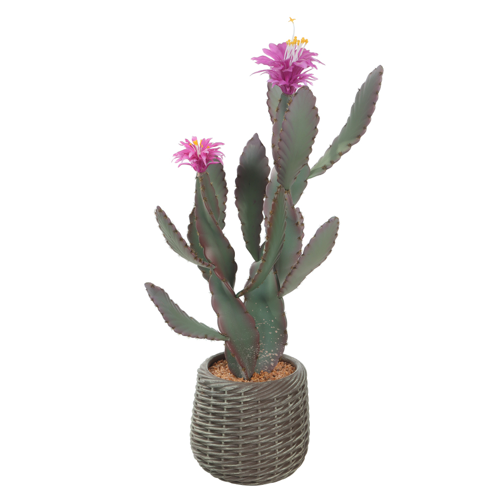 A.CACTO PU C/POTE X2 (VERDE ROSA) 76cm