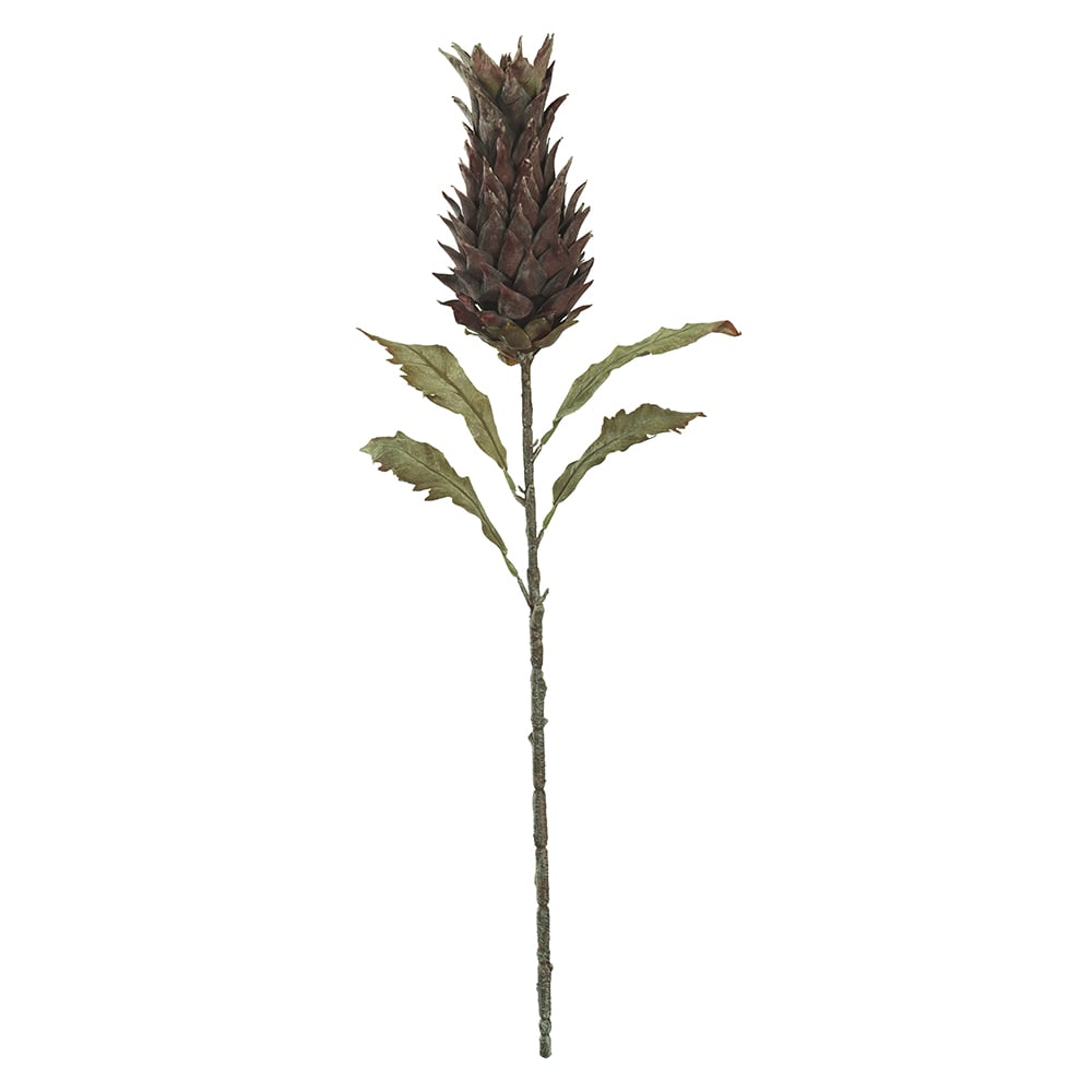 H.PROTEA C/COAT (MARROM) 85cm