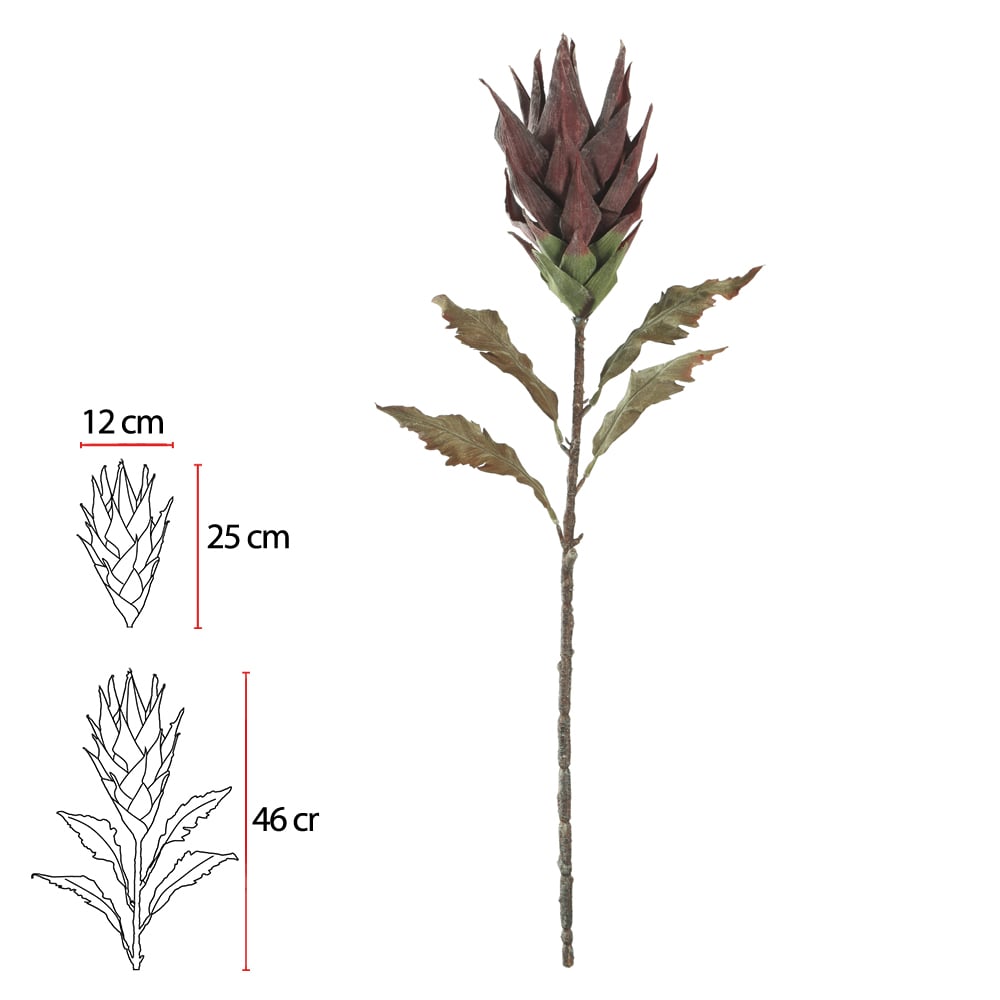 H.PROTEA C/COAT (MARSALA) 83cm