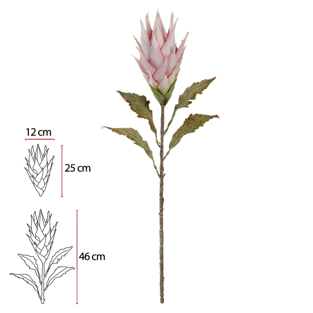 H.PROTEA C/COAT (ROSA OUTONO) 83cm