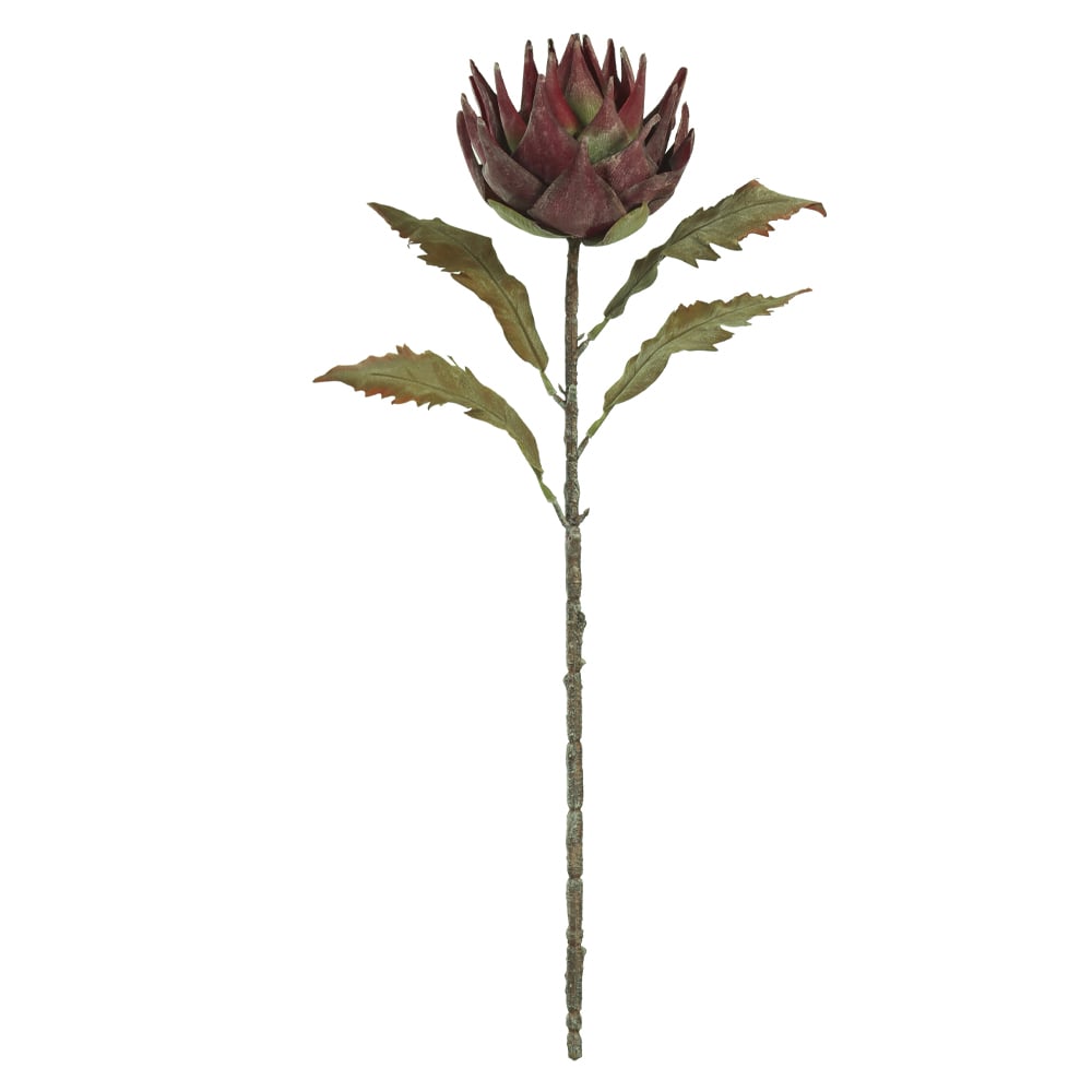 H.PROTEA C/COAT (MARSALA) 72cm