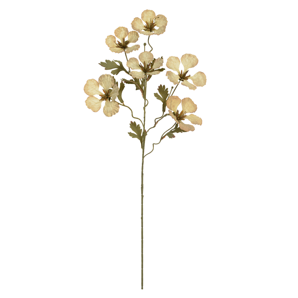 H.BAUHINIA X6 (CHA OUTONO) 82cm