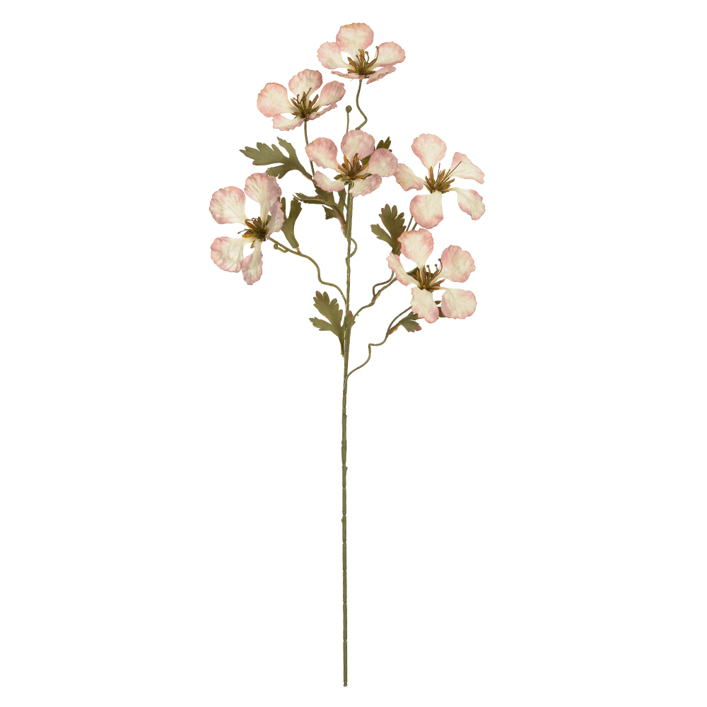 H.BAUHINIA X6 (ROSA OUTONO) 82cm