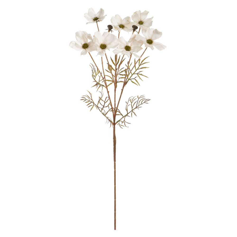 H.COSMOS X7 (CREME OUTONO) 67cm