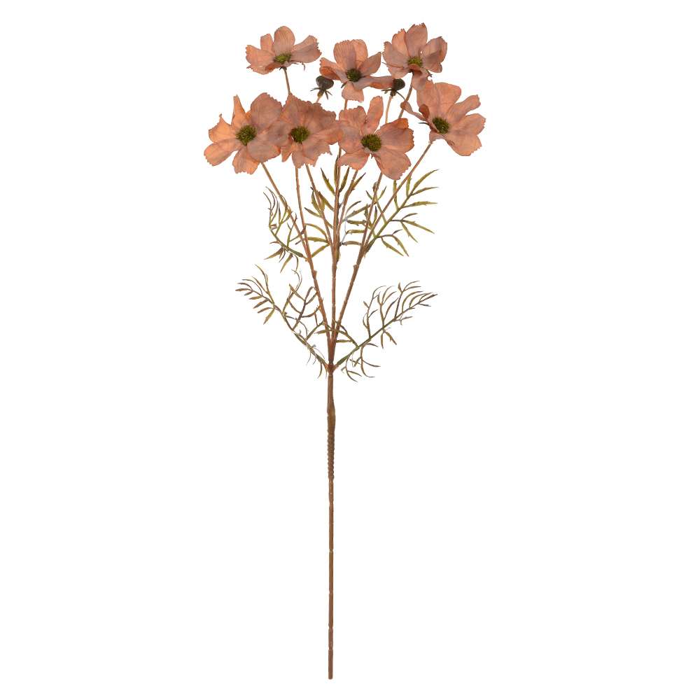 H.COSMOS X7 (CHA OUTONO) 67cm