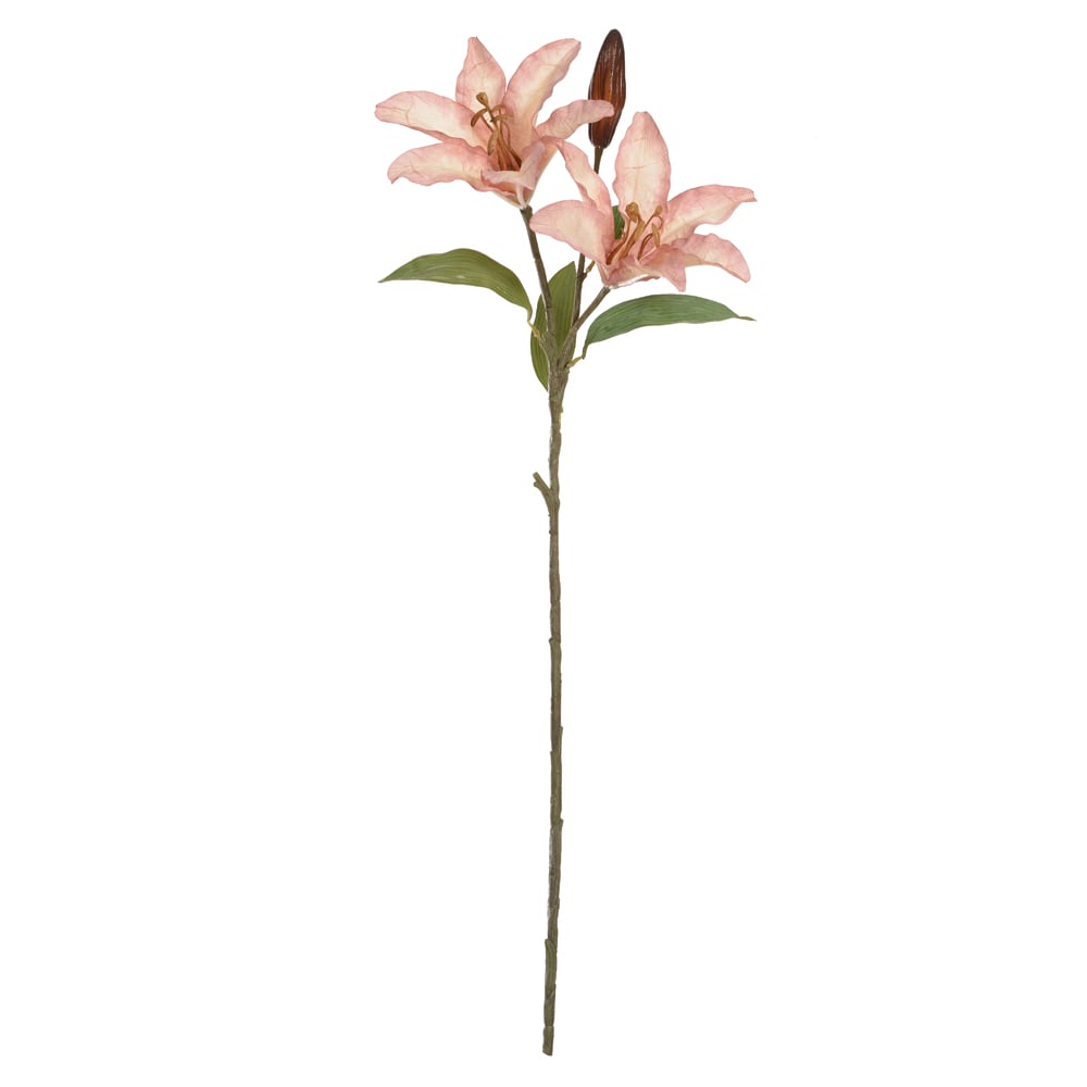 H.LIRIO X2 (ROSA OUTONO ANTIGO) 88cm