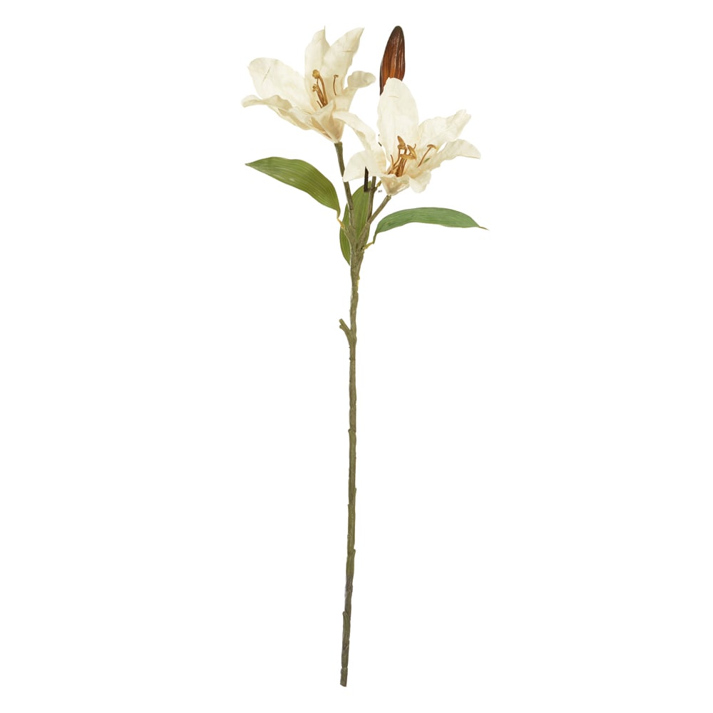 H.LIRIO X2 (CREME OUTONO) 88cm